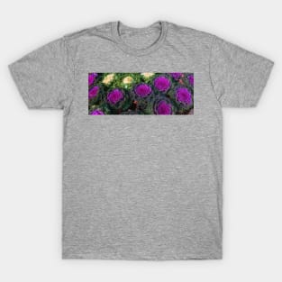 Eat up all your cabbage ... T-Shirt